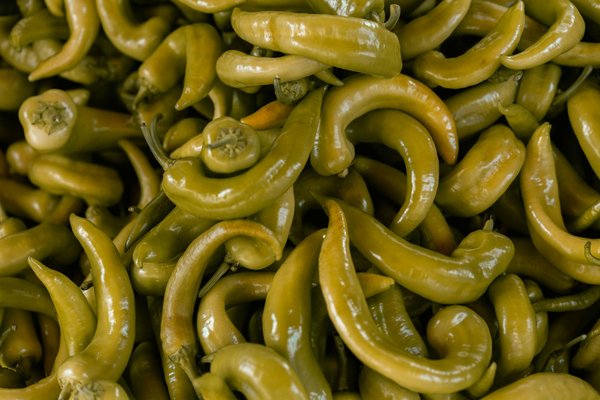 Savourez des plats légers et délicieux : recettes créatives de courgettes sans fromage à explorer !